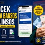 Cara Cek Penerima Bansos Perlinsos Dengan NIK KTP