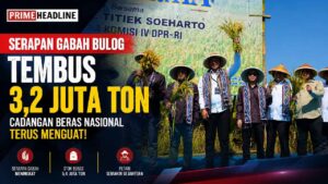 Serapan Gabah Bulog Tembus 3,2 Juta Ton, Cadangan Beras Nasional Terus Menguat